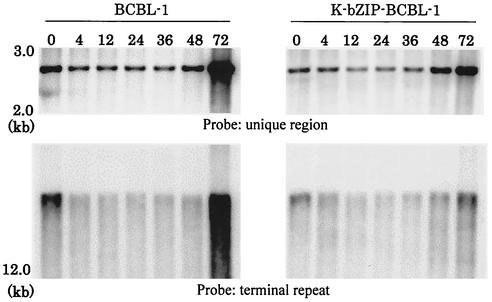 FIG. 6.