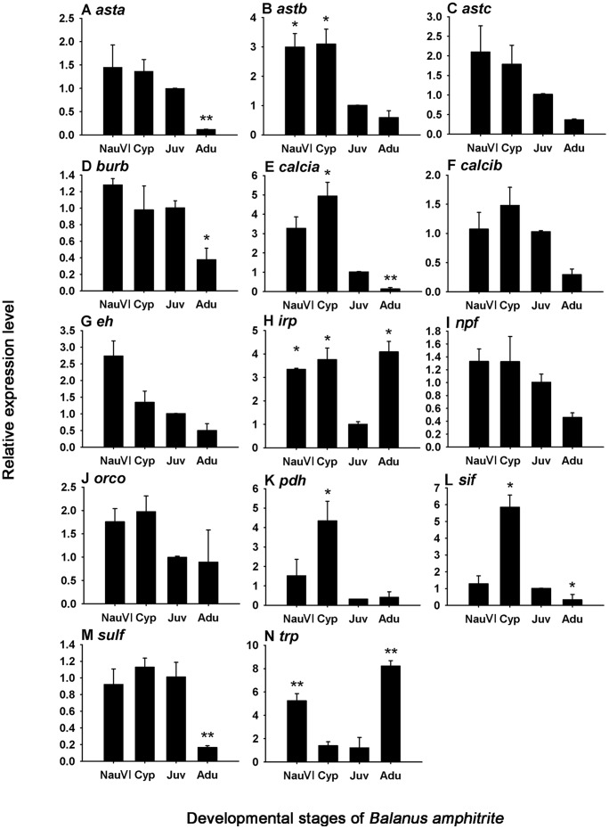 Figure 10