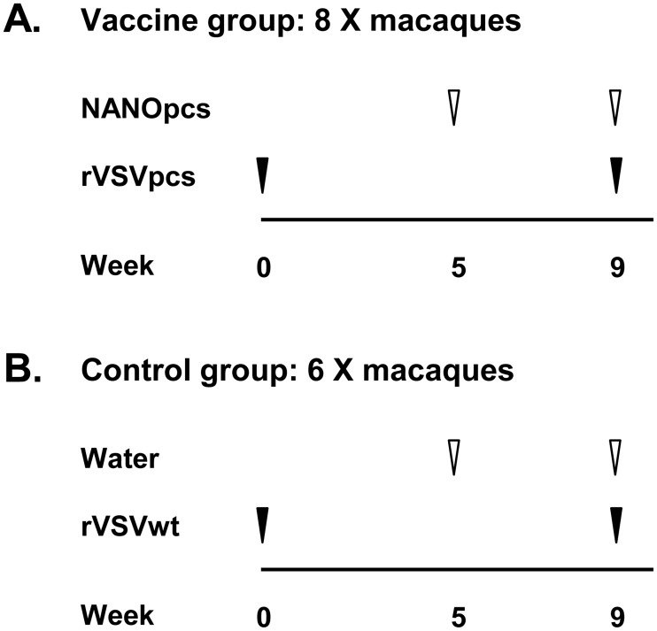 Fig 5