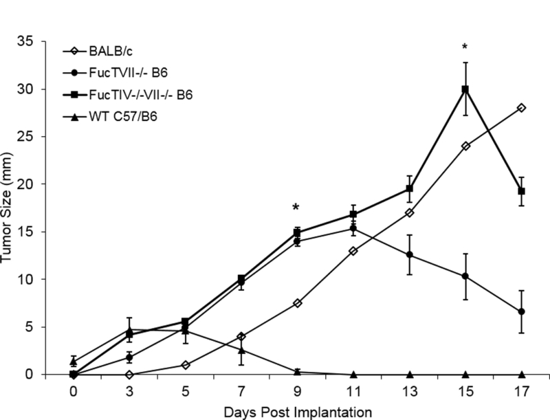 Figure 4: