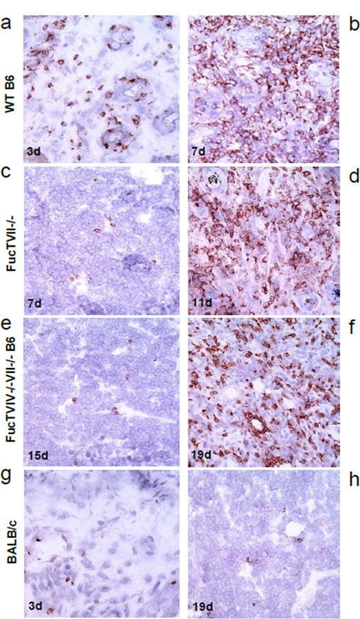 Figure 3: