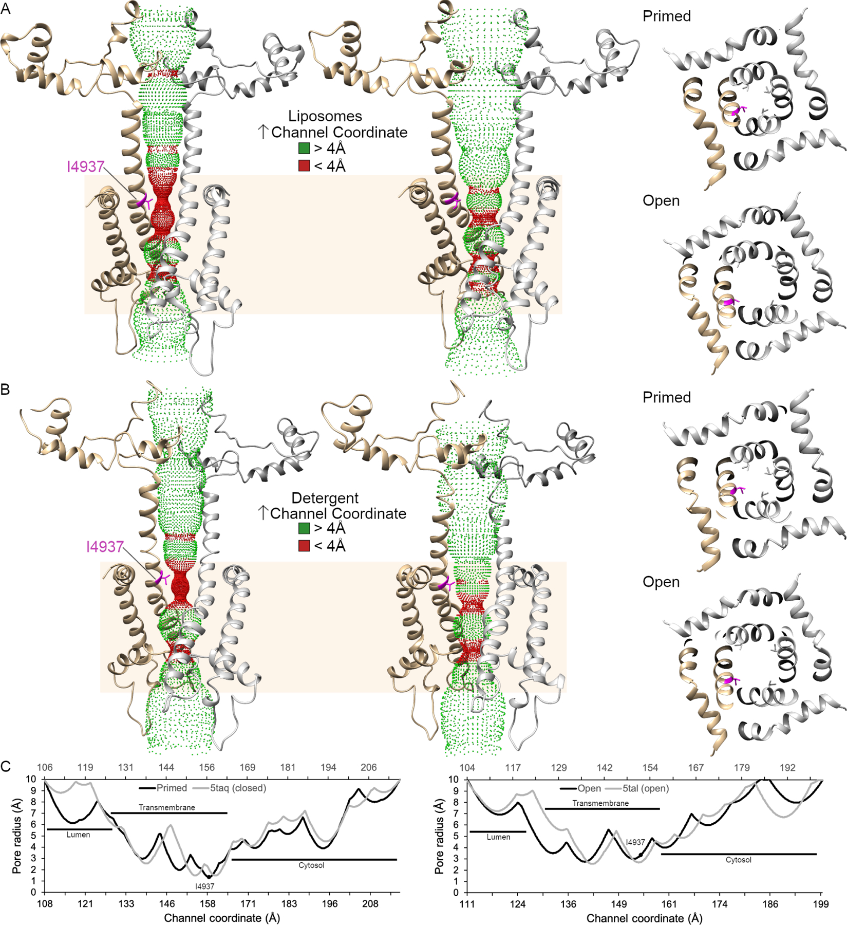 Figure 5.