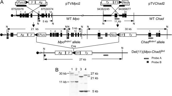 Figure 2.