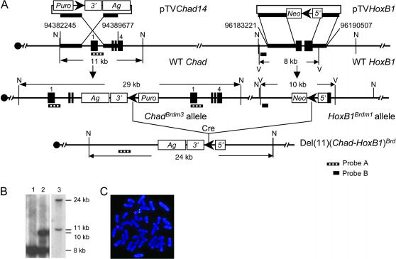 Figure 6.