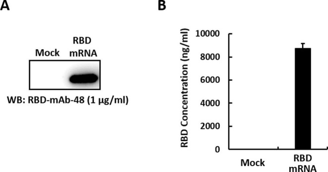 Supplementary Fig. 1