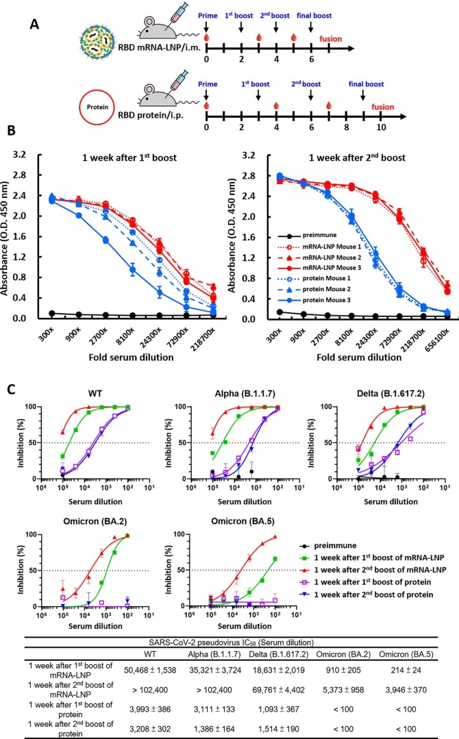 Supplementary Fig. 3