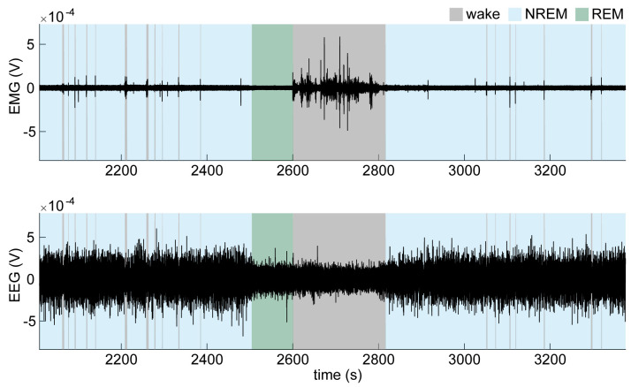 Figure 10.