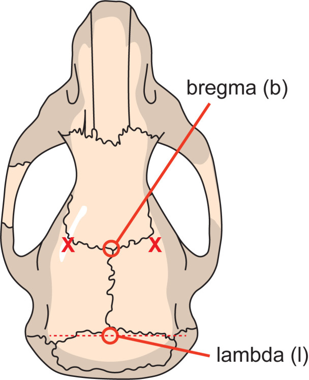 Figure 6.