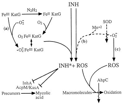 FIG. 1