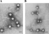 FIG. 7.