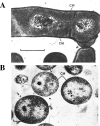 FIG. 10.
