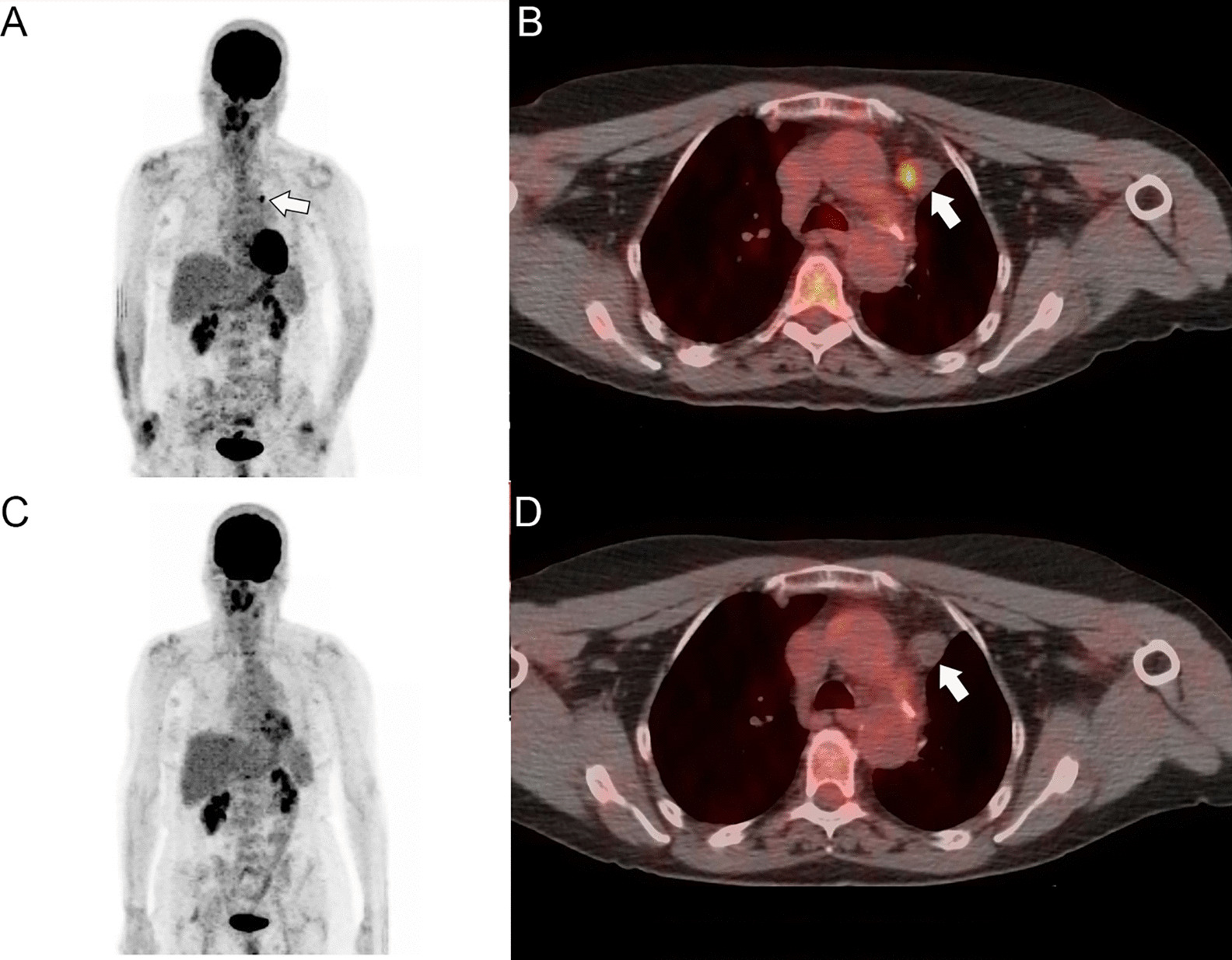 Fig. 4