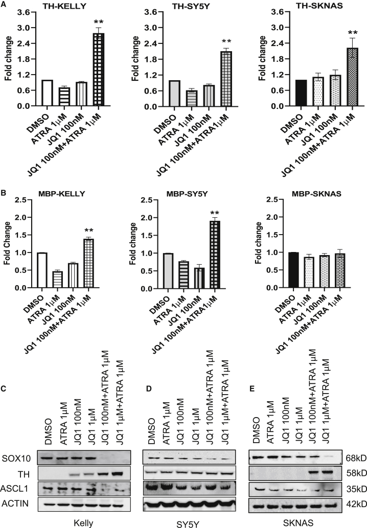 Figure 4