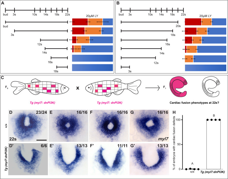 Fig 2: