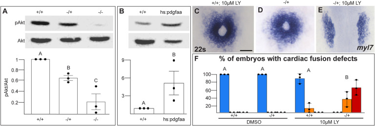 Fig 5: