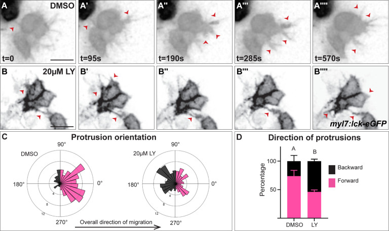 Fig 4: