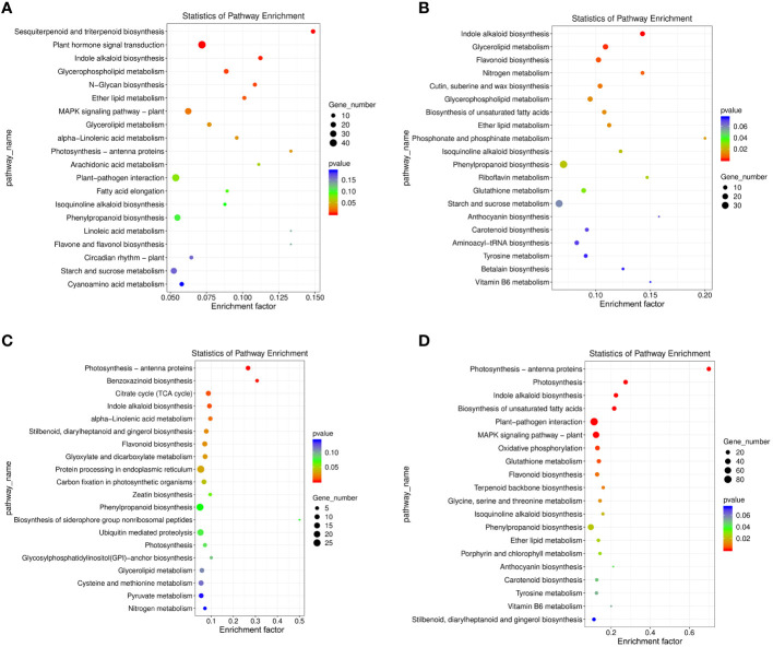 Arbuscular mycorrhizal fungi enhanced resistance to low-temperature ...