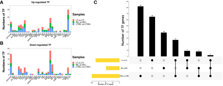 Arbuscular mycorrhizal fungi enhanced resistance to low-temperature ...