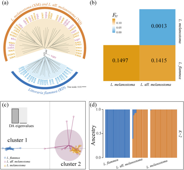 FIGURE 3