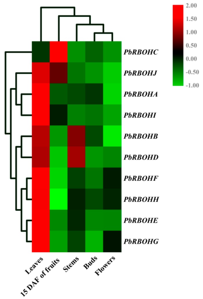 Figure 11