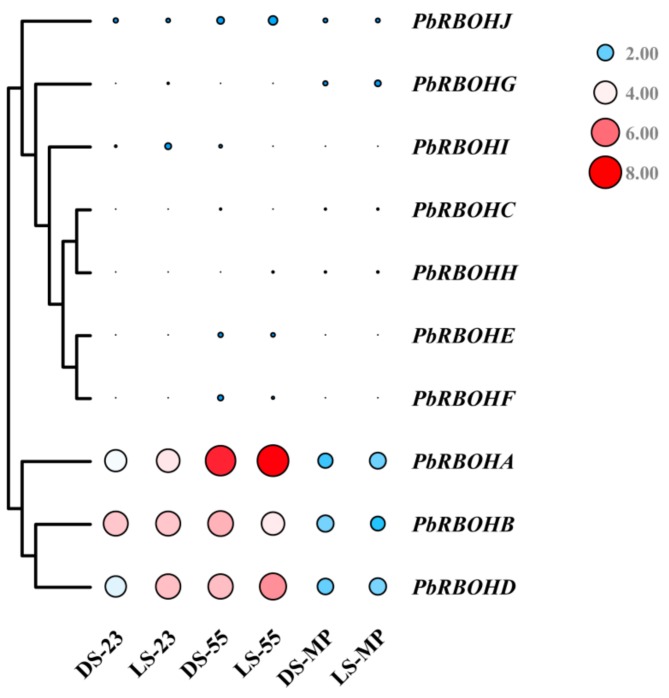 Figure 10