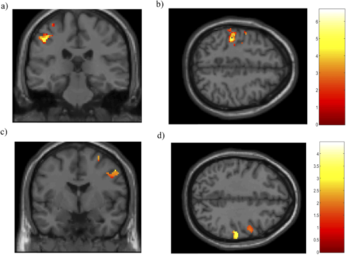 Fig. 8.