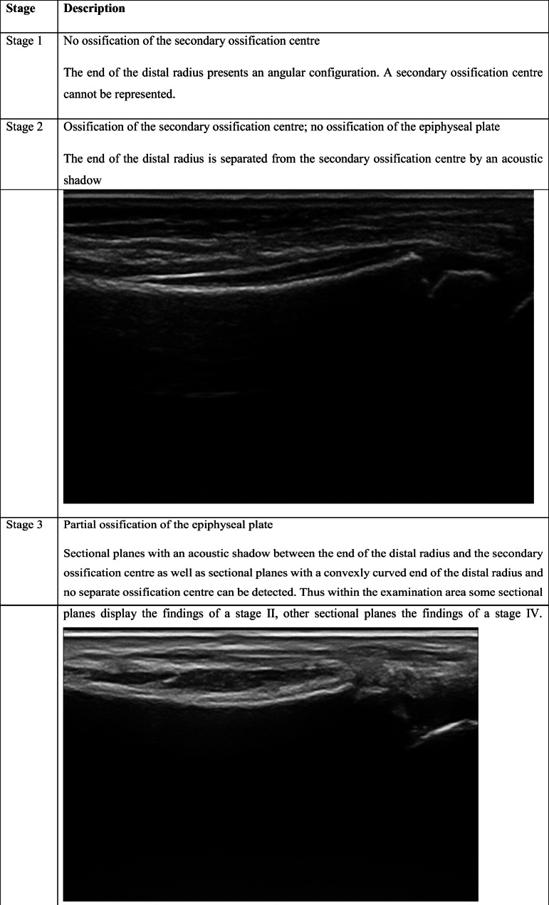 graphic file with name 414_2021_2521_Tab2a_HTML.jpg