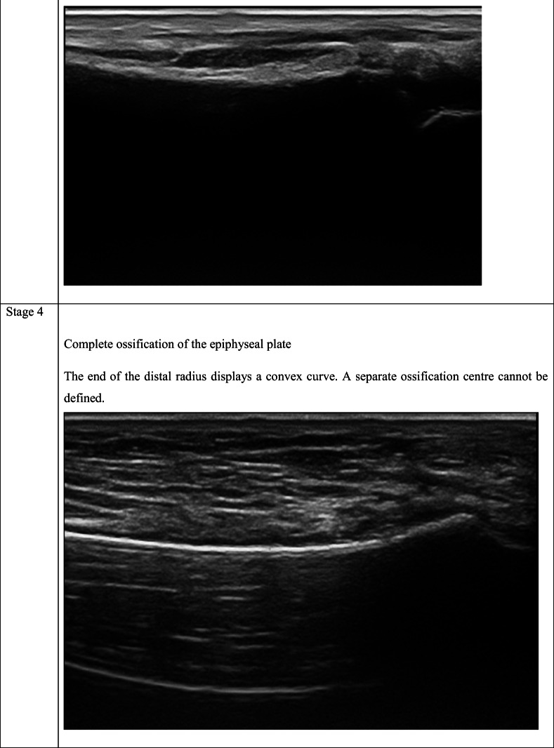 graphic file with name 414_2021_2521_Tab2b_HTML.jpg