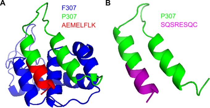 FIG 1