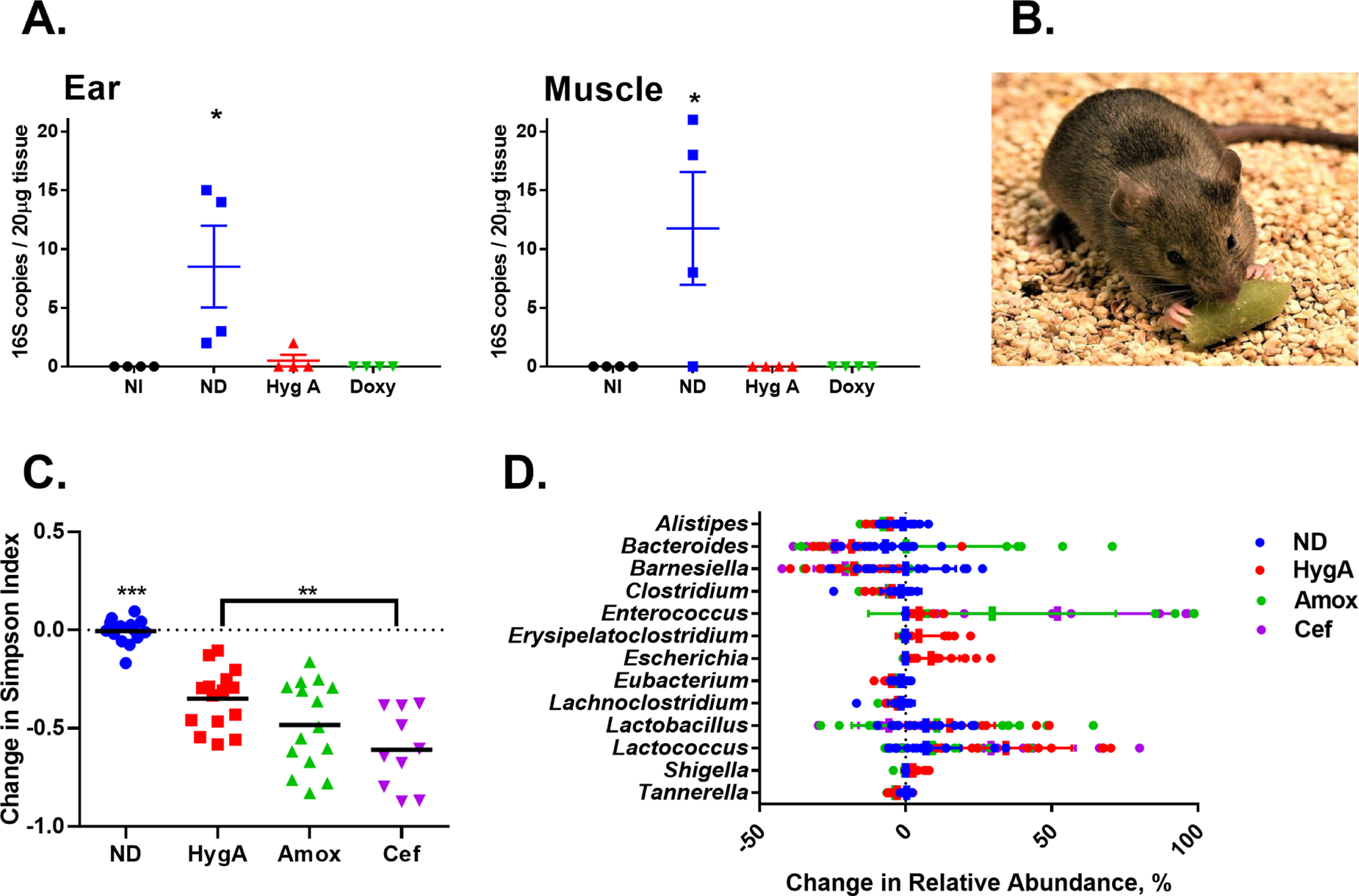 Figure 4: