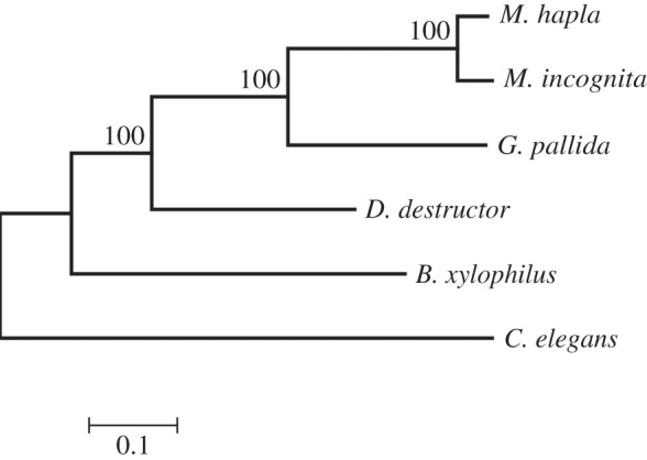 Figure 2.