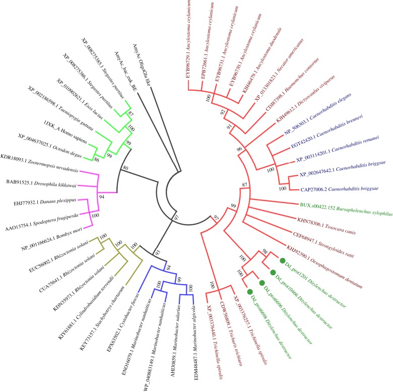 Figure 4.