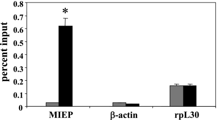 FIG. 8.