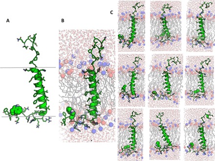 Fig. 2