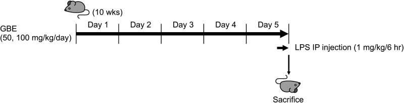 Fig. 9