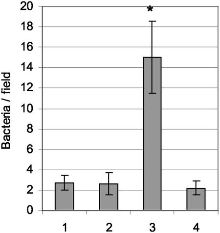 FIG. 7.