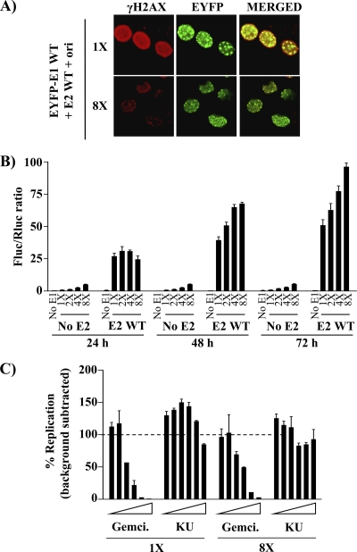 Fig. 11.