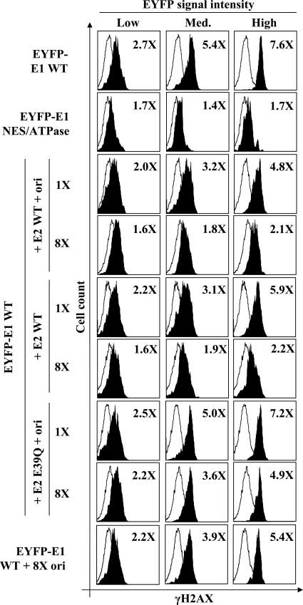 Fig. 9.