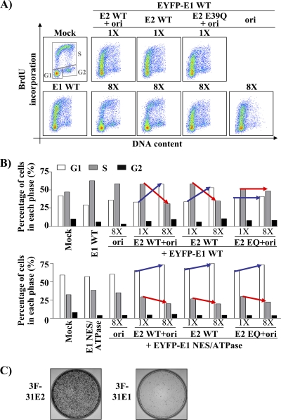 Fig. 10.