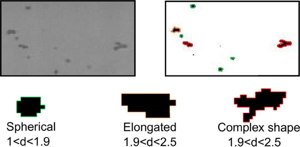 Fig. 3.