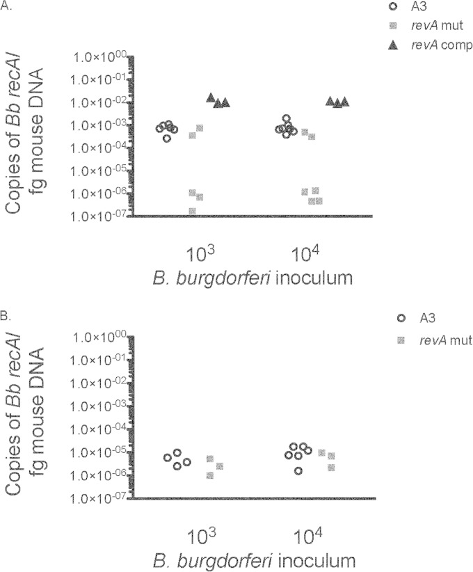 FIG 2