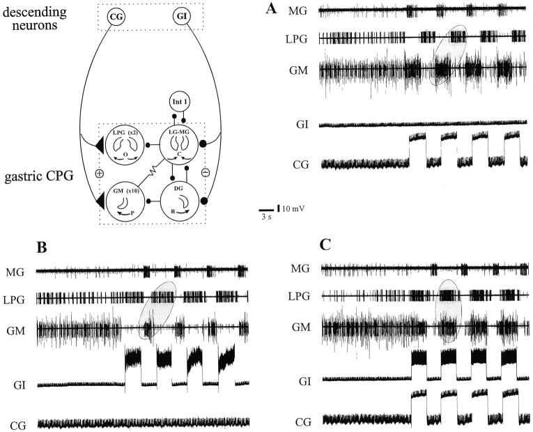 Fig. 9.