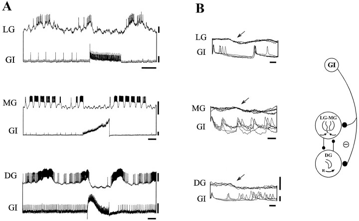 Fig. 8.