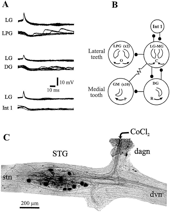 Fig. 3.