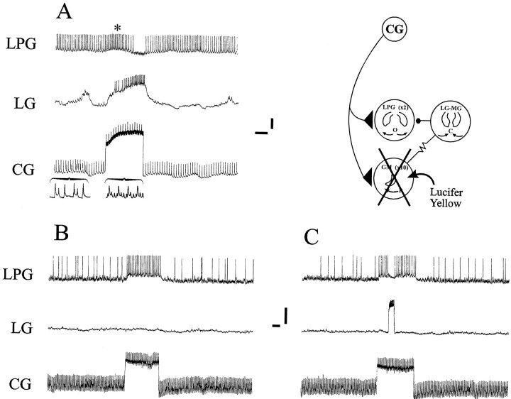 Fig. 6.