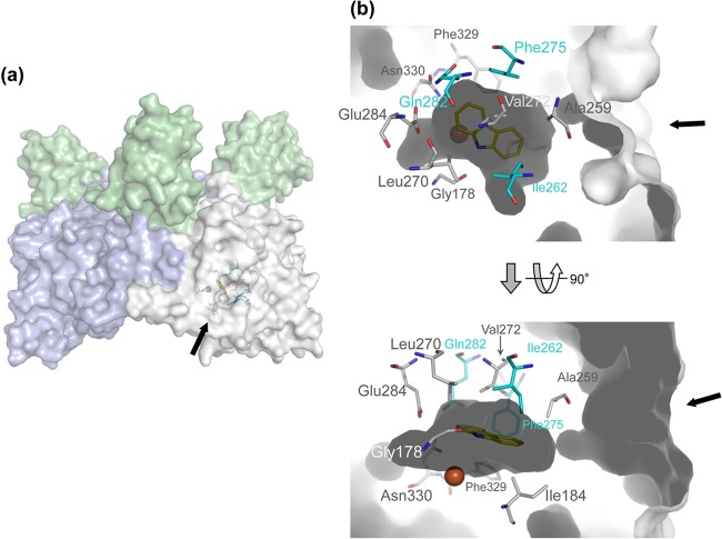 FIG 2