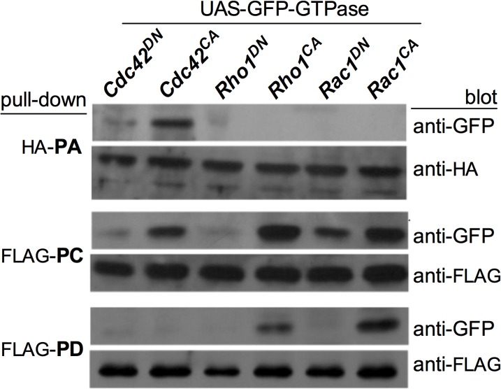 Fig 3