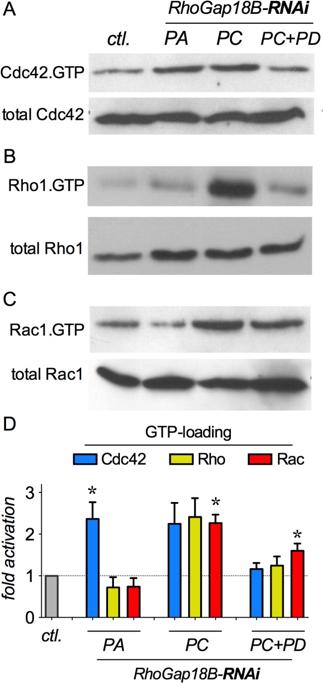 Fig 4