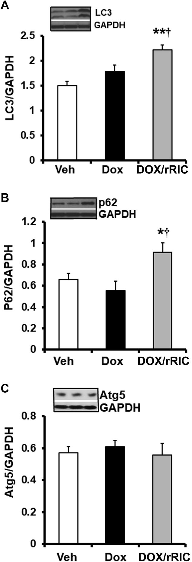 Figure 6