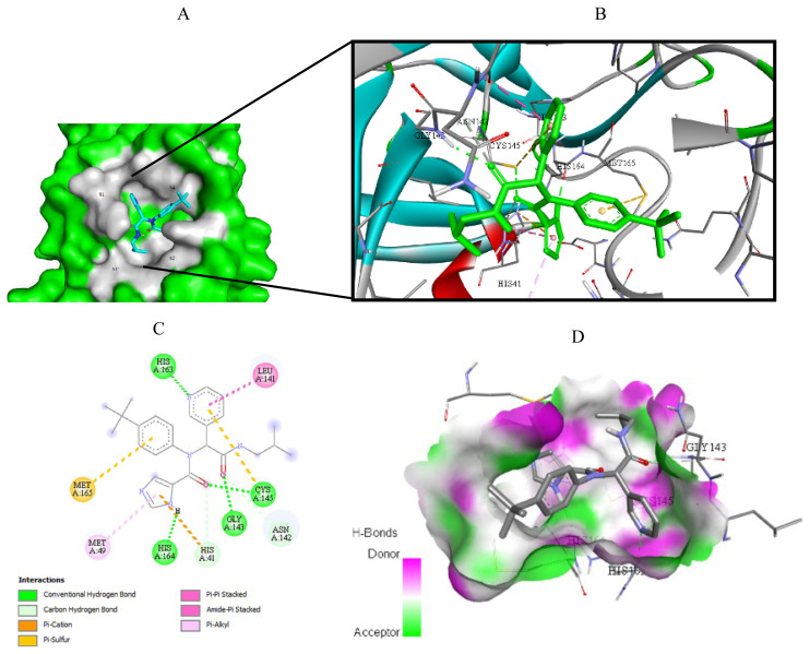 Figure 11